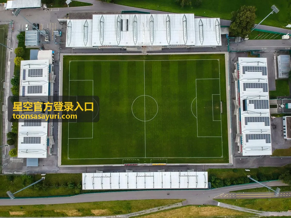 星空官方登录入口登录状态与多设备说明配图